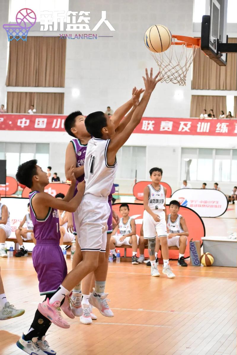 中国篮球比赛